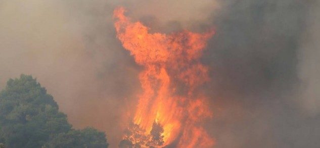 Χαλκιδική: Φωτιά στην περιοχή Καλαμίτσι