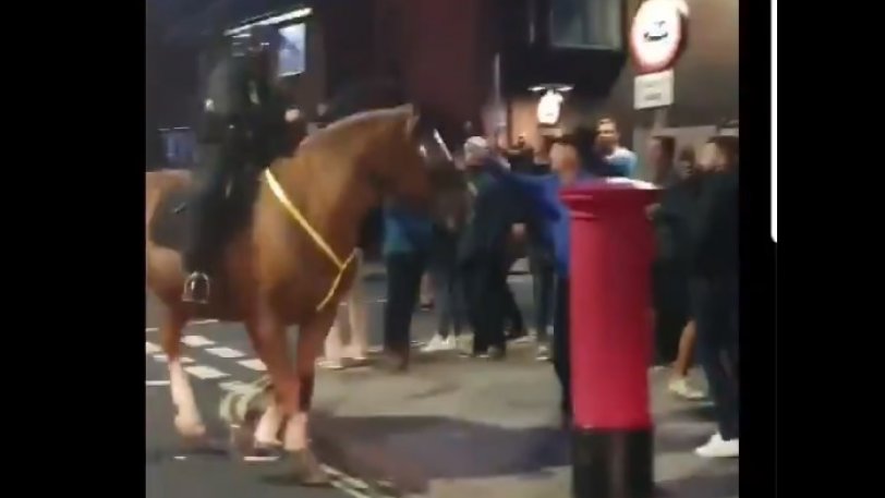 Οπαδός της Πόρτσμουθ γρονθοκόπησε άλογο της Αστυνομίας! (VIDEO)