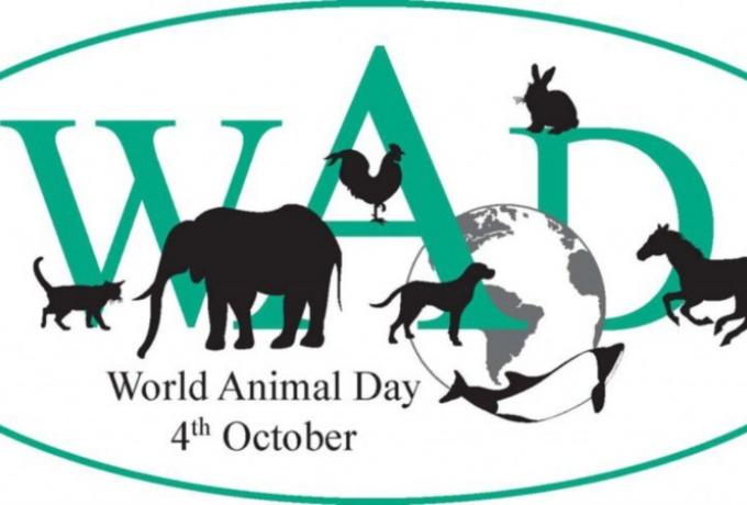 Η ανάρτηση της ΠΑΕ ΑΕΚ για την Παγκόσμια Ημέρα Ζώων (ΦΩΤΟ)