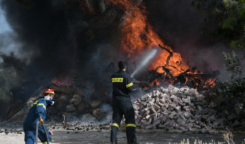 Φωτιά στην Κάρυστο: Μεγάλη επιχείρηση της Πυροσβεστικής