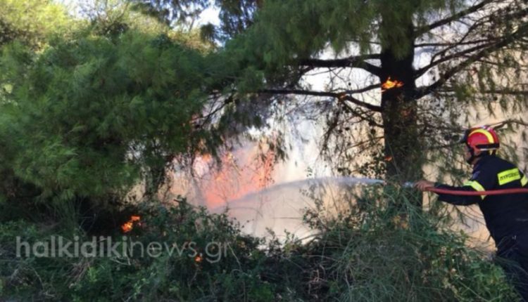 Πυρκαγιά στη Χαλκιδική - Συναγερμός στην Πυροσβεστική