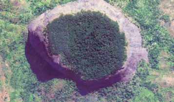 Το Google Earth αποκάλυψε δάσος που δεν έχει πατήσει ανθρώπινο πόδι (VIDEO)