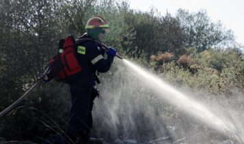 Φωτιά στην Κεφαλονιά: Προληπτική εκκένωση του οικισμού Δοριζάτα