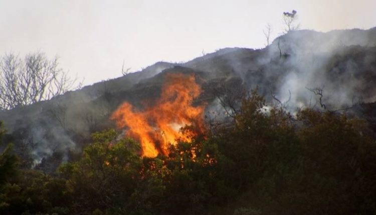 Τρεις πυρκαγιές στην Κρήτη -Η μια κοντά σε κατοικημένη περιοχή