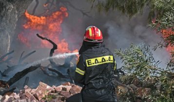 Πυρκαγιά σε δασική έκταση στα Σπάτα - Μεγάλη κινητοποίηση της Πυροσβεστικής