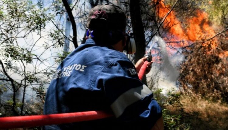 Καλαμάτα: Φωτιά σε δασική έκταση στην περιοχή Πέντε Αλώνια της Μεσσηνίας