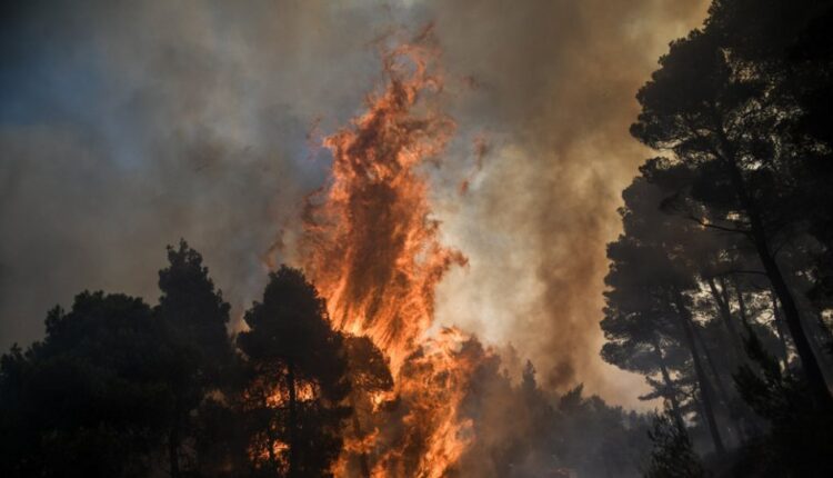 Πυρκαγιά στα Κύθηρα - Δίνει μάχη η πυροσβεστική