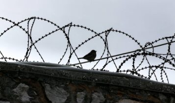Κέρκυρα: Βρέθηκαν πιστόλια και μαχαίρια στις φυλακές - Ερευνα της ΕΚΑΜ