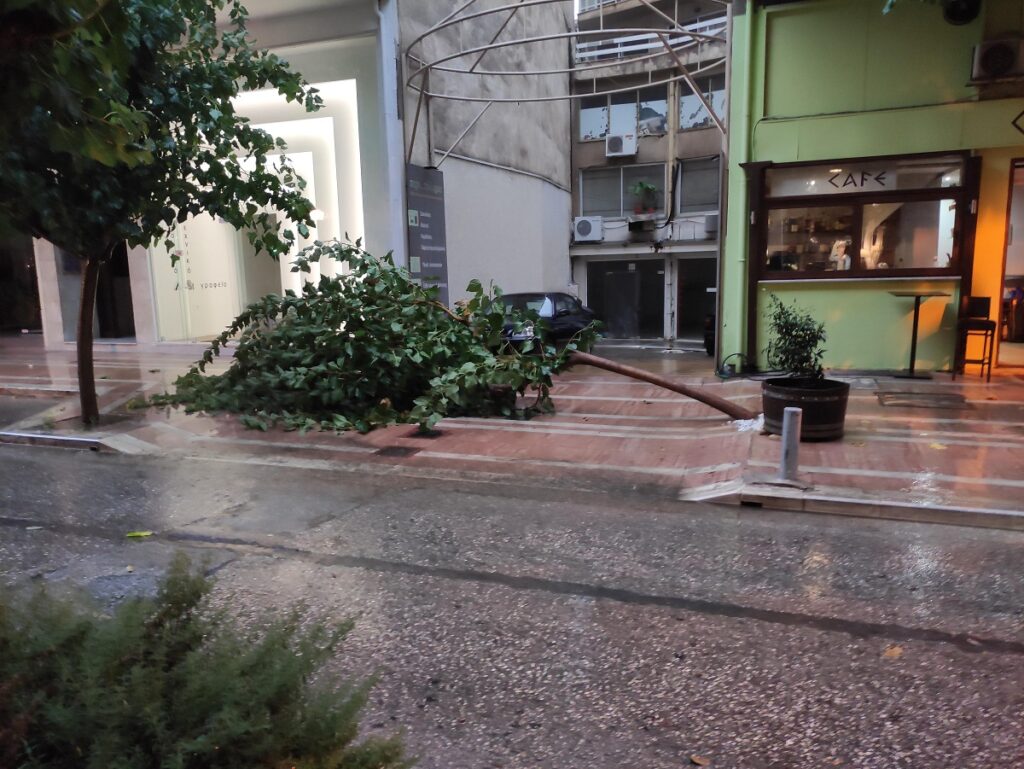 Παναιτωλικός-ΑΕΚ: Πολλές ζημιές και πτώσεις δένδρων στο Αγρίνιο (ΦΩΤΟ)