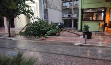 Παναιτωλικός-ΑΕΚ: Πολλές ζημιές και πτώσεις δένδρων στο Αγρίνιο (ΦΩΤΟ)