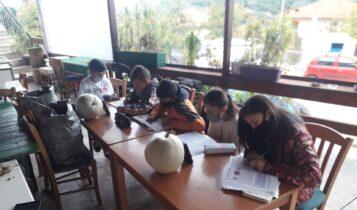 Ηλεία: Μαθητές κάνουν κάνουν τηλεκπαίδευση σε αυλή καφενείου (ΦΩΤΟ)