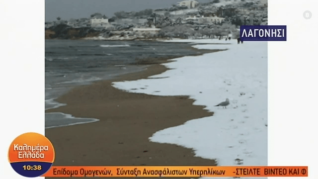 Λαγονήσι: Το χιόνι έφτασε μέχρι τη θάλασσα! (VIDEO)