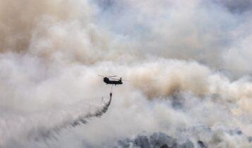 Χαρδαλιάς: «Δύσκολη η φωτιά στον Σχίνο, έχουν καεί 20 χιλιάδες στρέμματα» (VIDEO)