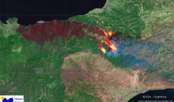 Εικόνα σοκ από τη φωτιά στην Κορινθία - Δορυφόρος αποτύπωσε την καταστροφή (VIDEO)