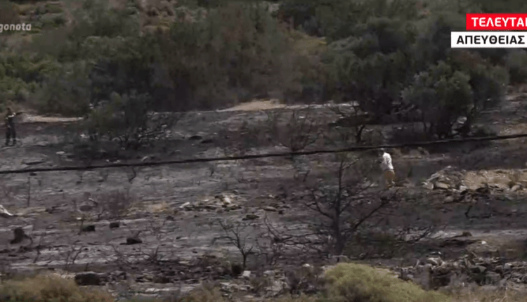 Κερατέα: Πυρκαγιά σε δασική έκταση – Εκκενώθηκε προληπτικά οικισμός (VIDEO)