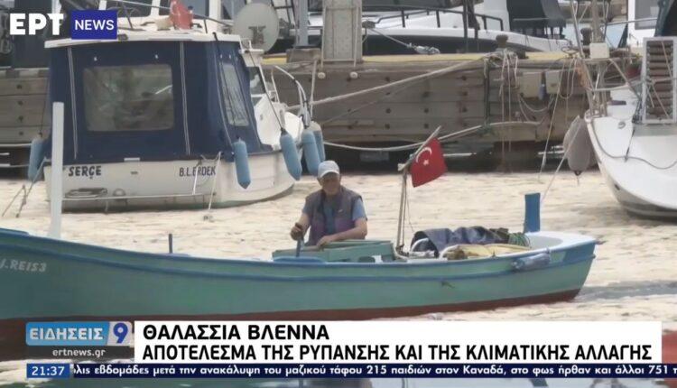 Θαλάσσια βλέννα: Απο τις ακτές του Μαρμαρά έφτασε στη Λήμνο (VIDEO)