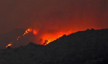 Τραγωδία στην Κύπρο: 4 νεκροί από τη φονική πυρκαγιά - Εντοπίστηκαν απανθρακωμένοι