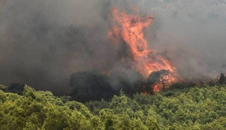 Δραματική κατάσταση με την φωτιά στον Βαρνάβα, απομακρύνθηκαν κάτοικοι (VIDEO)