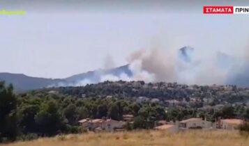 Σταμάτα: Συναγερμός για μεγάλη πυρκαγιά κοντά σε σπίτια (VIDEO)
