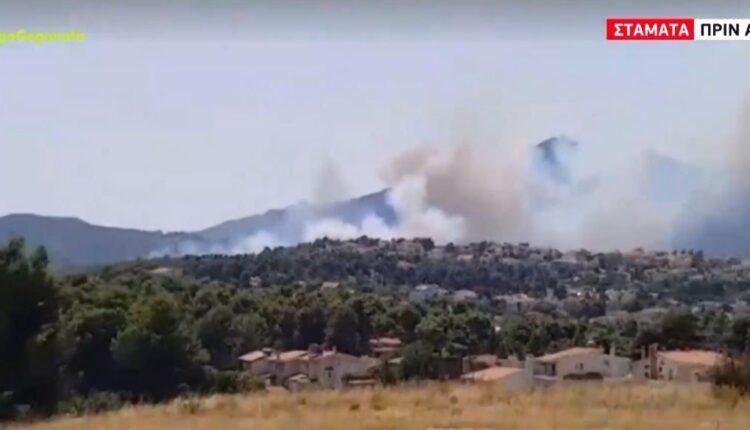 Σταμάτα: Συναγερμός για μεγάλη πυρκαγιά κοντά σε σπίτια (VIDEO)