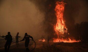Φωτιά στην Βαρυμπόμπη: VIDEO ντοκουμέντο από την αρχή της πυρκαγιάς
