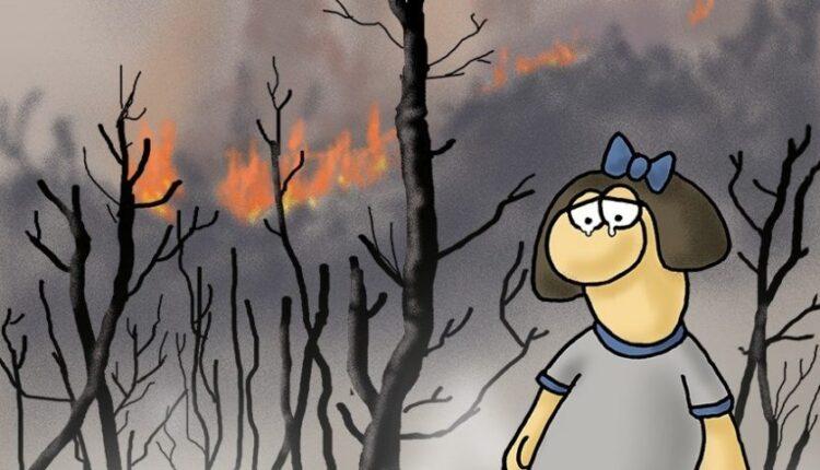Το σκίτσο του Αρκά για τις πυρκαγιές (ΦΩΤΟ)