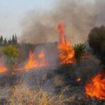 Μαρτυρία-σοκ για τη φωτιά στο Σούνιο: «Είδα ύποπτες κινήσεις στο Λαύριο πριν την πυρκαγιά»