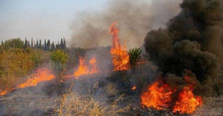 Μαρτυρία-σοκ για τη φωτιά στο Σούνιο: «Είδα ύποπτες κινήσεις στο Λαύριο πριν την πυρκαγιά»
