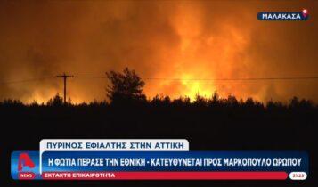 Η φωτιά πέρασε την Εθνική - Κατευθύνεται προς Μαρκόπουλο (VIDEO)