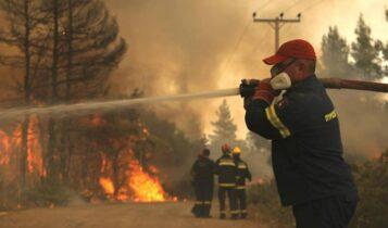 Αρκαδία: Δύο πυροσβέστες με αναπνευστικά προβλήματα και ένας με εγκαύματα