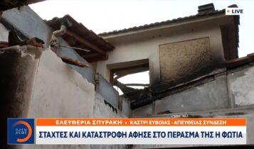 Καστρί Εύβοιας: Στάχτες και καταστροφή άφησε στο πέρασμά της η φωτιά (VIDEO)