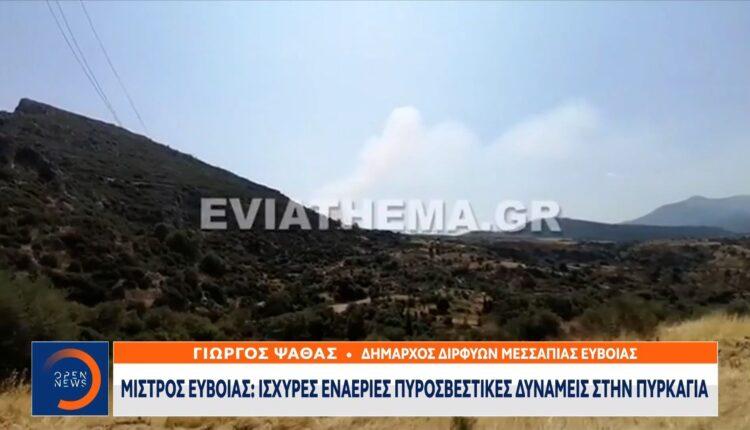 Ο Δήμαρχος Διρφύων Μεσσαπίων για την πυρκαγιά στον Μίστρο κ. Εύβοιας (VIDEO)