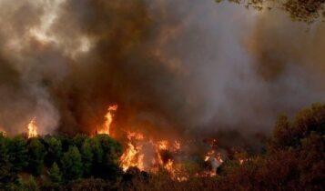 Κερατέα: Εκτός ελέγχου η πυρκαγιά - Εκκενώνονται οικισμοί (VIDEO)