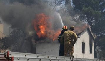 Εστειλε τρόφιμα και ζωοτροφές στις πληγείσες περιοχές ο ΠΣΑΠ (ΦΩΤΟ)