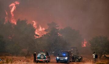 Φωτιά στα Βίλια: Συνεχίζεται η μάχη με τις φλόγες-Κατευθύνεται στα Μέγαρα η πυρκαγιά (VIDEO)