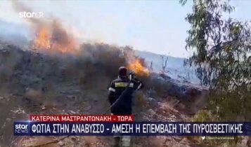 Φωτιά στην Ανάβυσσο-Aμεση η επέμβαση της πυροσβεστικής (VIDEO)