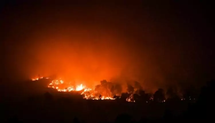 Μεγάλη φωτιά στη Νέα Μάκρη: Κοντά σε σπίτια οι φλόγες