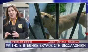 Τρόμος για 4χρονη: Της επιτέθηκε σκύλος στη Θεσσαλονίκη (VIDEO)