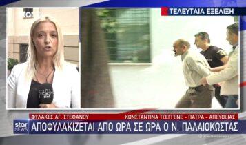 Αποφυλακίζεται ο Νίκος Παλαιοκώστας (VIDEO)