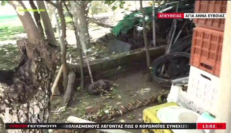Κακοκαιρία «Αθηνά»: Εικόνες βιβλικής καταστροφής στην Εύβοια (VIDEO)