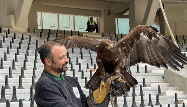 Ο αετός της ΑΕΚ στην «OPAP Arena» -Η πρόβα (ΦΩΤΟ)