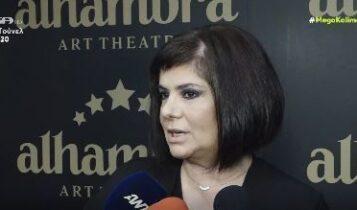 Βάσια Παναγοπούλου: «Ο κόσμος βαρέθηκε το σκουπιδαριό των ριάλιτι» (VIDEO)