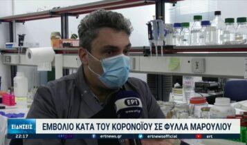 Παγκόσμια πρωτοτυπία: Ανακάλυψαν το βρώσιμο εμβόλιο στο Πανεπιστήμιο Κρήτης (VIDEO)