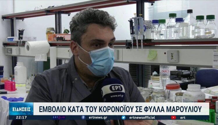 Παγκόσμια πρωτοτυπία: Ανακάλυψαν το βρώσιμο εμβόλιο στο Πανεπιστήμιο Κρήτης (VIDEO)