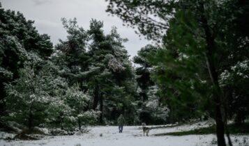 Κακοκαιρία: Χιονοπτώσεις και πολικές θερμοκρασίες την Κυριακή