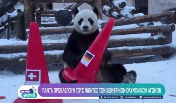 Οι καλύτερες προβλέψεις για τους Χειμερινούς Ολυμπιακούς Αγώνες από...πάντα! (VIDEO)