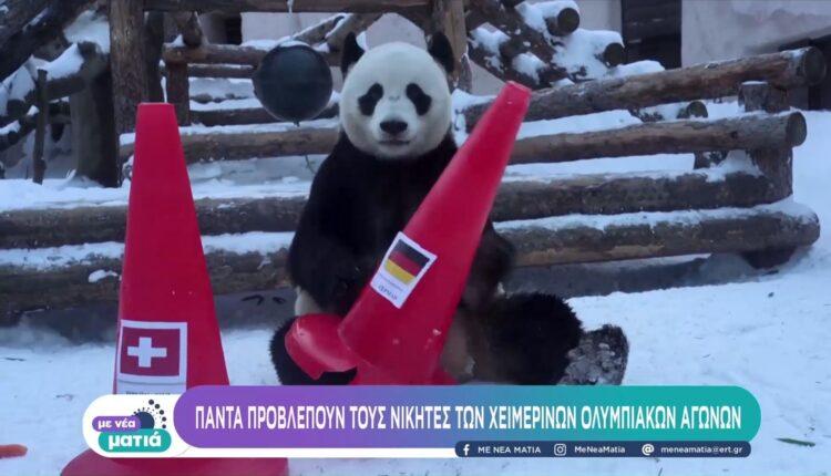 Οι καλύτερες προβλέψεις για τους Χειμερινούς Ολυμπιακούς Αγώνες από...πάντα! (VIDEO)