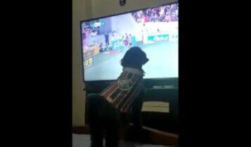 Viral VIDEO με σκυλάκο ντυμένο με τη φανέλα της Φλουμινένσε να πανηγυρίζει γκολ