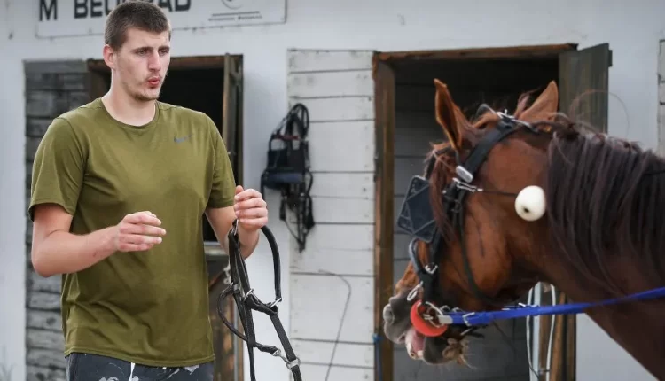 Γιόκιτς: Το άλογο του κέρδισε σε αγώνα, το πρώτο έπαθλο ήταν 250 ευρώ