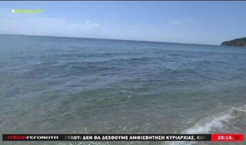 Χαλκιδική: Σοκάρει η 22χρονη - Περιγράφει τον βιασμό της από κατάδικο σε παραλία (VIDEO)